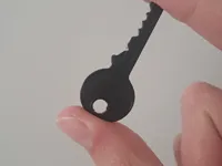 0.08mm layer, 2 walls, 50% infill