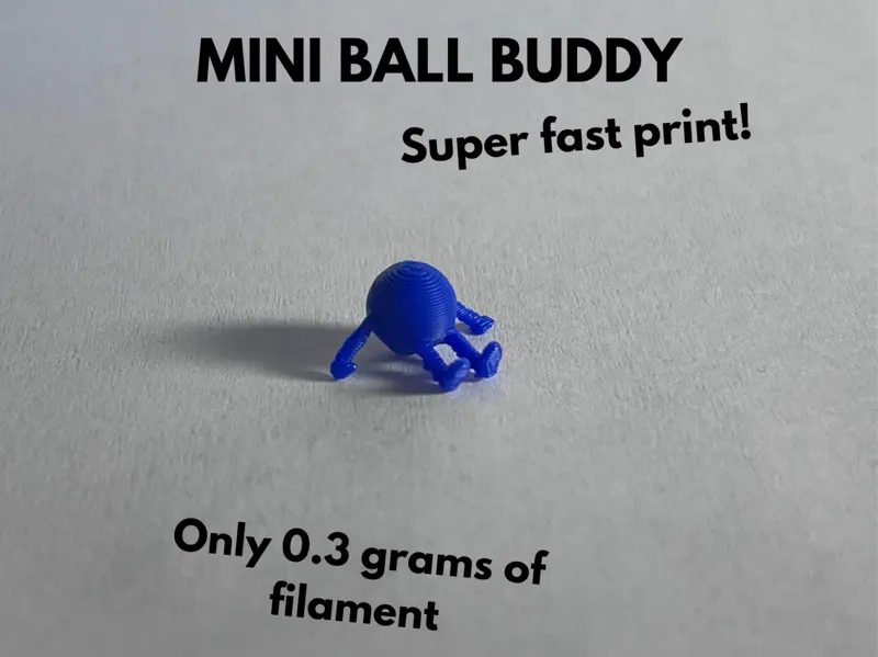 Mini Ball Buddy