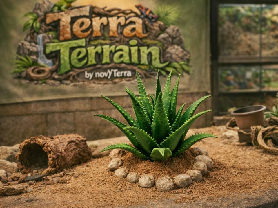 Terra Terrain - Aloe Vera