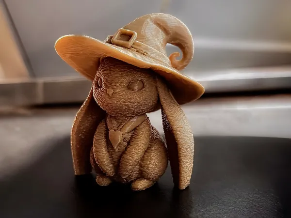 https://makerworld.bblmw.com/makerworld/model/US543bf658eb9f70/design/2025-03-21_25f483ebc75378.jpeg