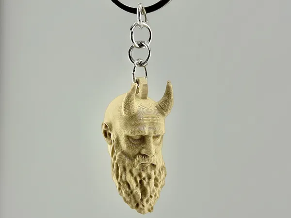 https://makerworld.bblmw.com/makerworld/model/US543f09e47f7ea/design/2025-02-25_4933fd425a74.jpg