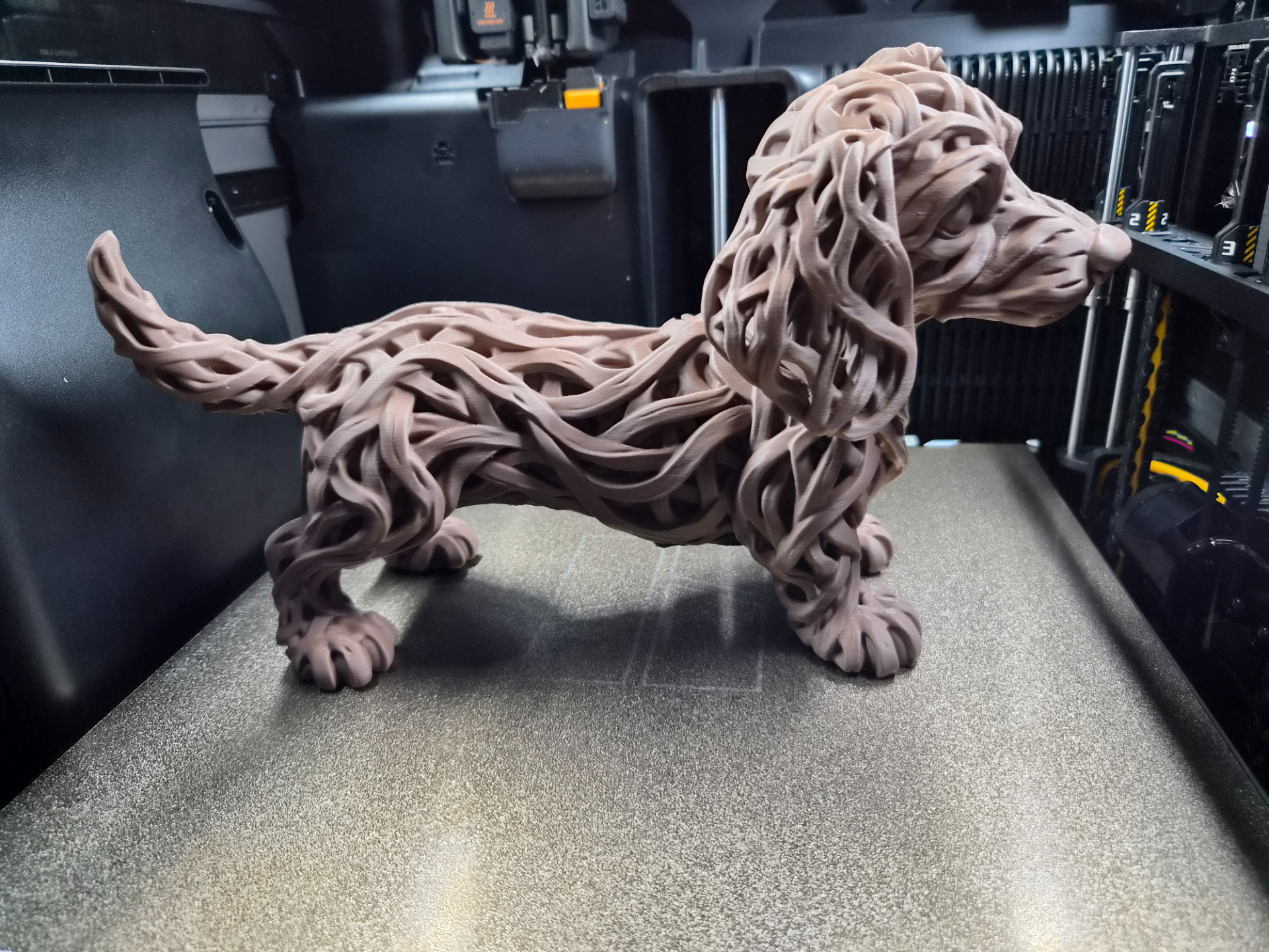 Rootwoven Dachshund – Nature Meets Art - 1