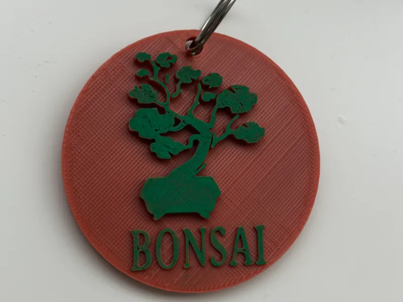 LLAVERO DE BONSAI