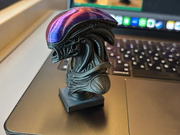 https://makerworld.bblmw.com/makerworld/model/US544baaebb6bb4d/design/2025-09-08_5e40781086659.jpeg