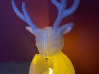 0.2mm layer, 2 walls, 30% infill