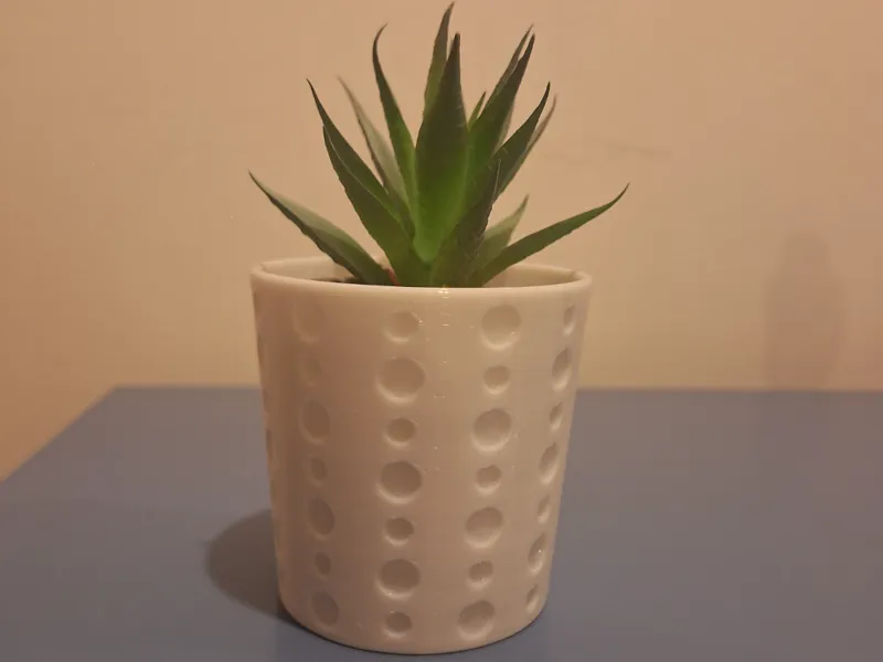 Plant pot with circles
