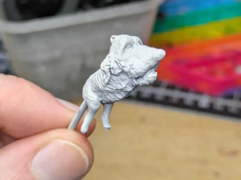 Cursed Dog