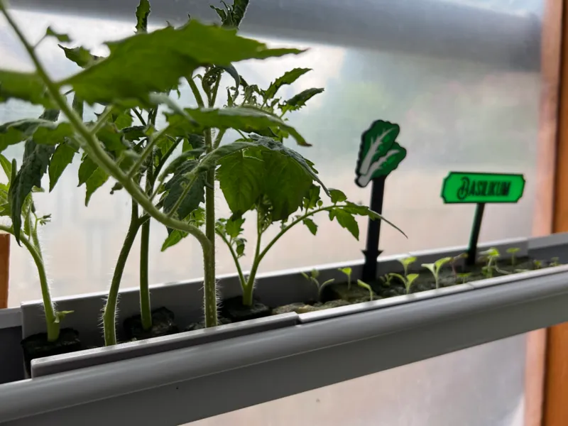 Hydroponic Anzucht in 70mm Marley Kastendachrinne