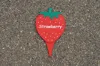 Label Strawberry - AMS