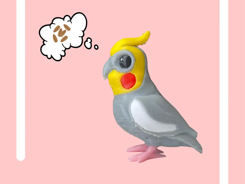 Cockatiel Bird