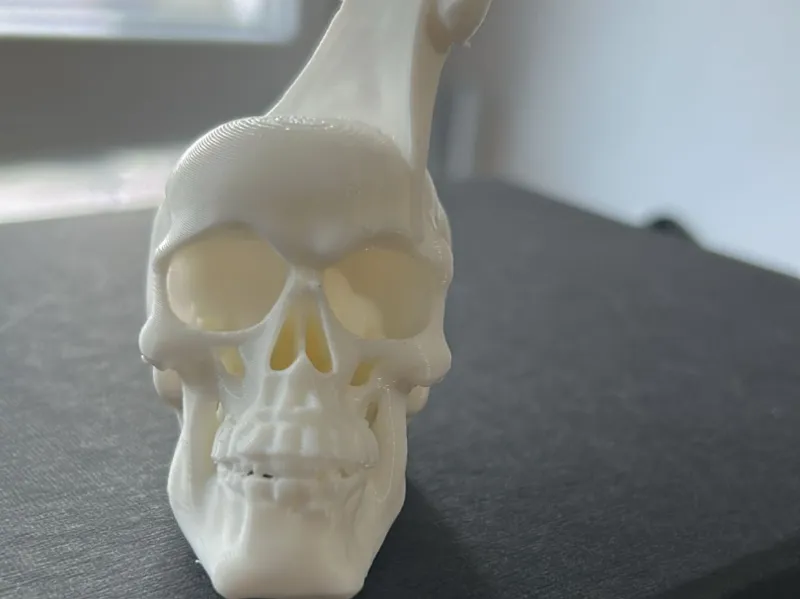 calavera con hacha rota