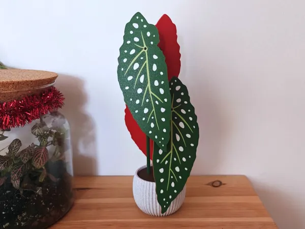 https://makerworld.bblmw.com/makerworld/model/US546891fb9a582e/design/2026-01-04_0ea81c719b6a.jpg