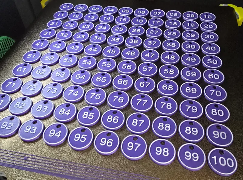 Number Tags 1-100 with hole for keychain