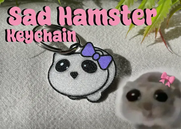 https://makerworld.bblmw.com/makerworld/model/US546a60b4a42f23/design/2024-03-13_133ff1baa2113.png