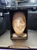 0.16mm layer, 3 walls, 7% infill