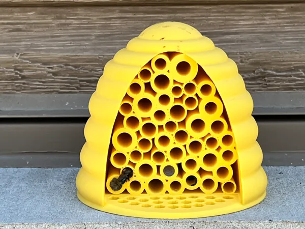 https://makerworld.bblmw.com/makerworld/model/US546af172230426/design/2025-05-19_725702e2b530e8.jpg