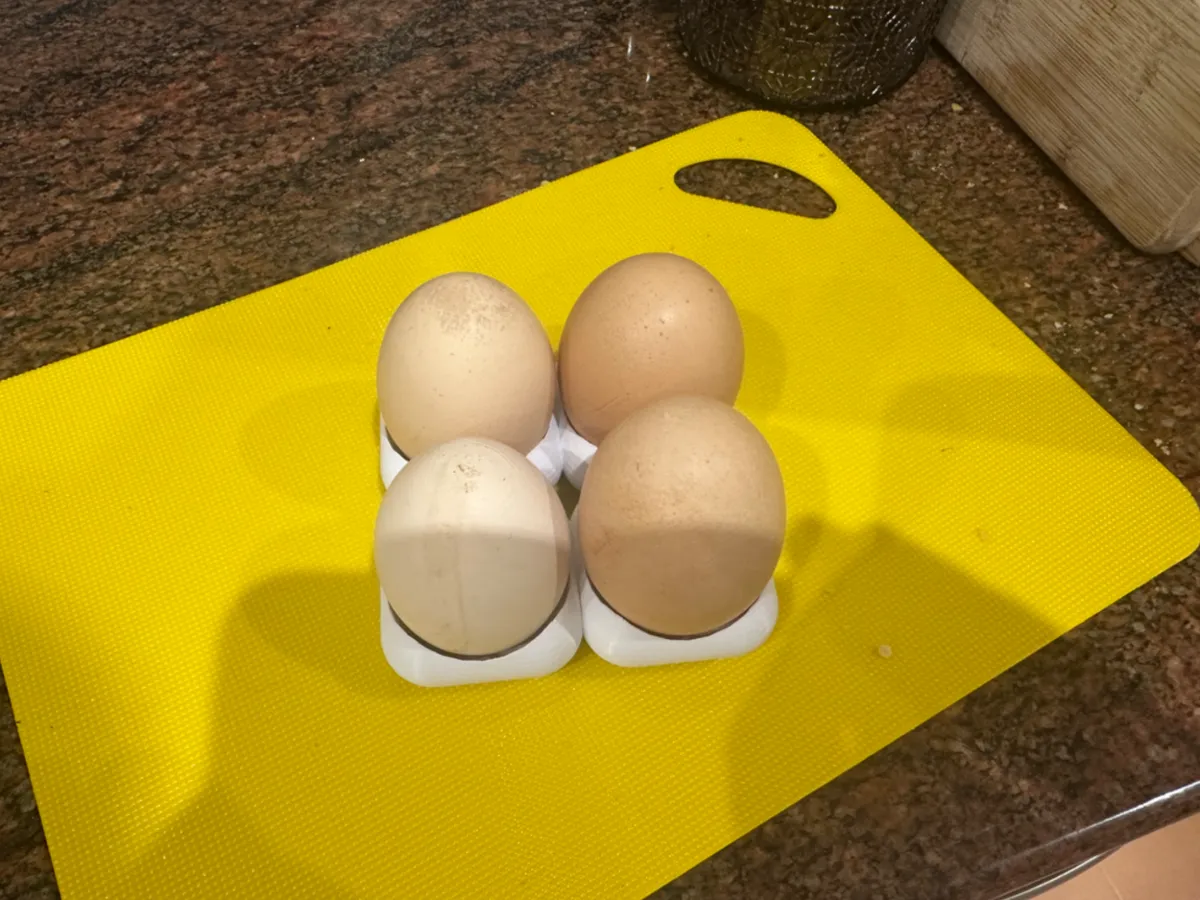 Range-œufs pour réfrigérateur