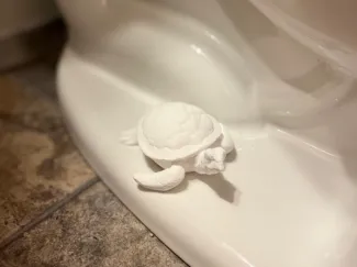 Potty Pal - Sea Turtle