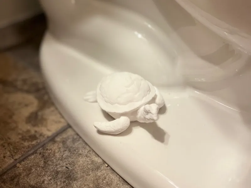 Potty Pal - Sea Turtle