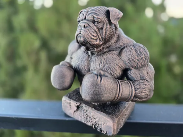 https://makerworld.bblmw.com/makerworld/model/US5478825340063f/design/d5d9f406980e9e60.jpg