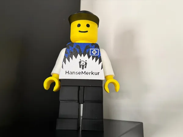 https://makerworld.bblmw.com/makerworld/model/US5479aa2ebaaf4c/design/2552cdcb0843ab2e.jpeg