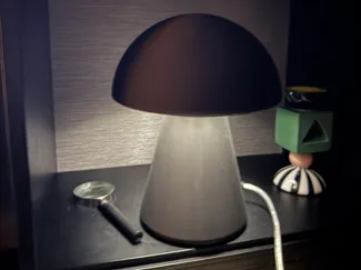Mushroom Lamp