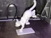 Large 0.16mm layer, 5 walls, 8% infill