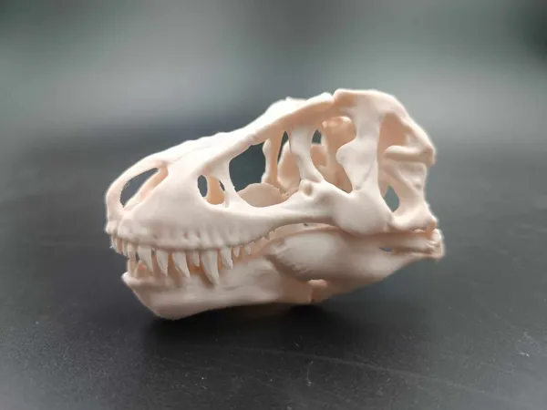 https://makerworld.bblmw.com/makerworld/model/US54840912169921/design/2025-03-17_96aaf8b9fb882.jpg