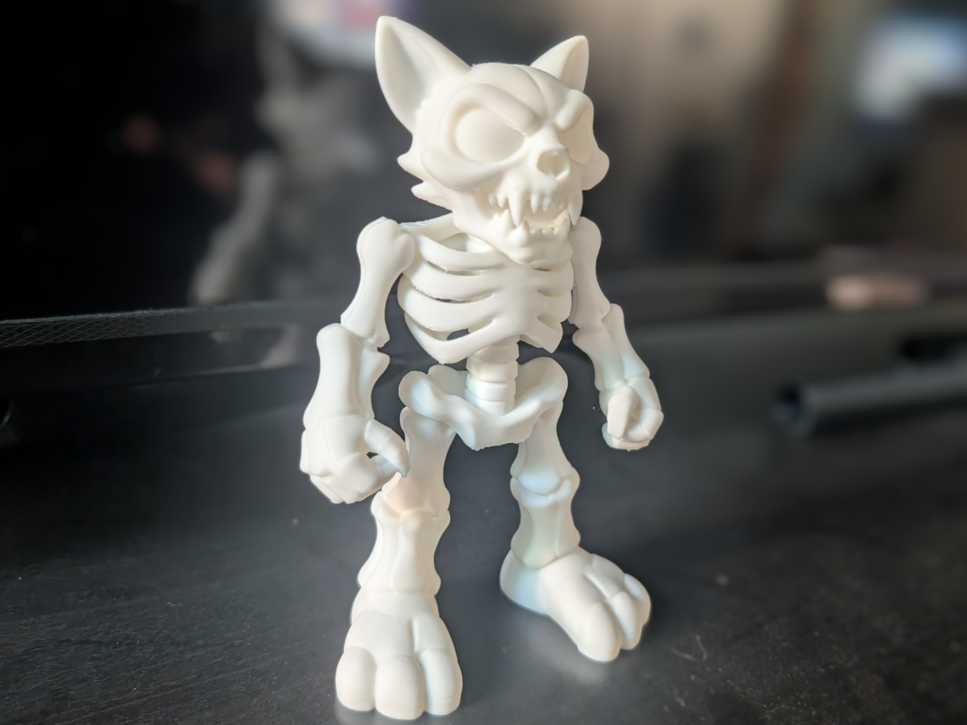 Skullcat – Cartoon Skeleton Cat