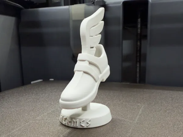https://makerworld.bblmw.com/makerworld/model/US548617016451a1/design/2025-08-28_5ef38a4de6f368.jpg