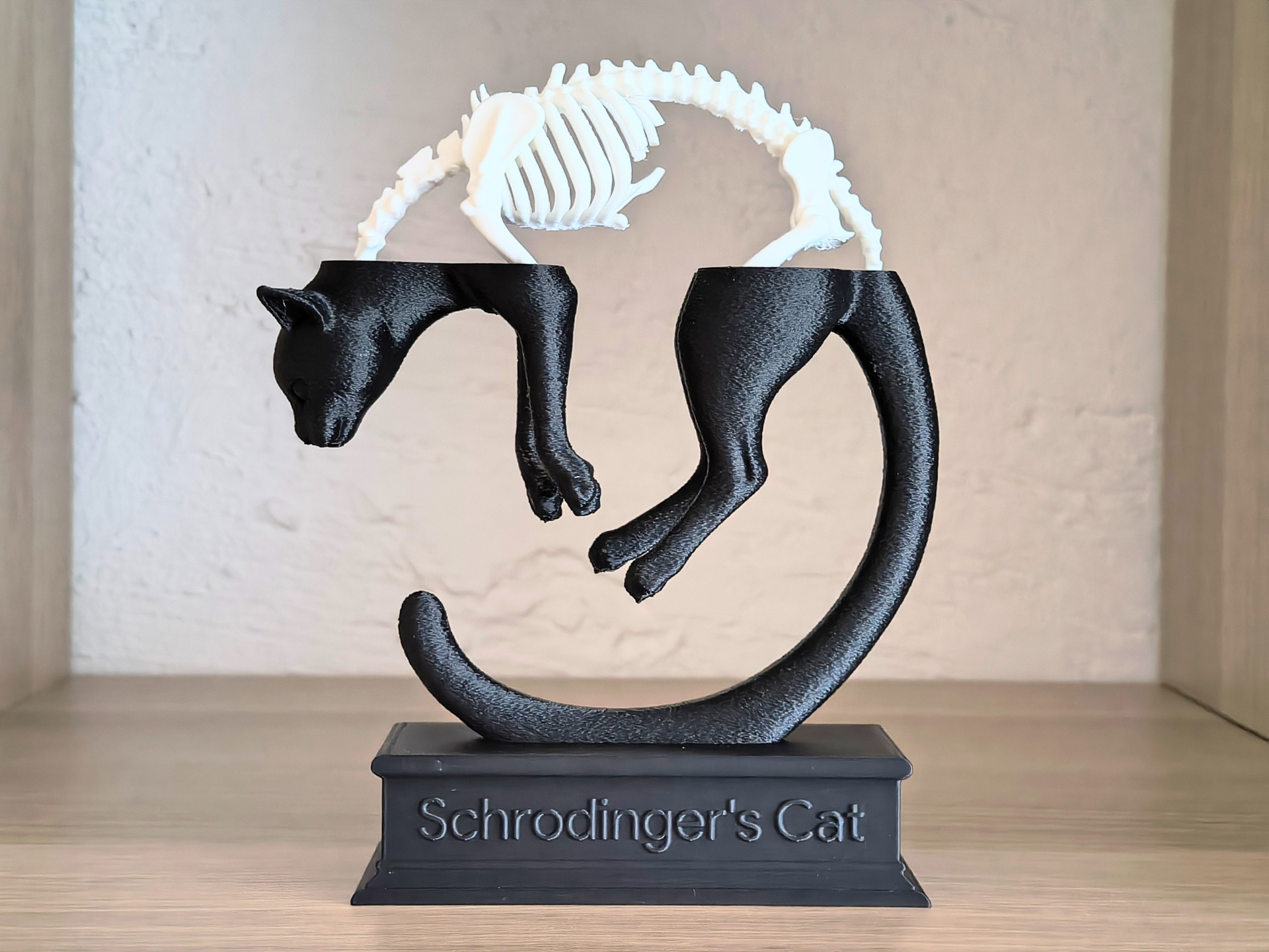 Schrödinger’s Cat – Quantum Superposition Display - 1