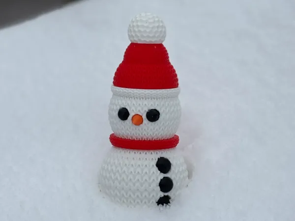 https://makerworld.bblmw.com/makerworld/model/US548de76d35ac8c/design/2025-08-02_b2a9c7b23505e.jpeg