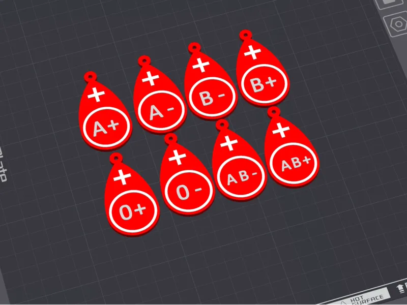 Blood Type Keychain Set (Medical ID)