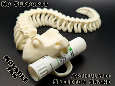 Articulated Skeleton Snake