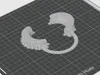 Cheek retractor(Looch)
