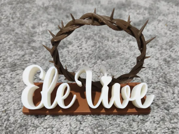 https://makerworld.bblmw.com/makerworld/model/US54a54c3f0018ad/design/2025-12-22_816d90eb53d6a.jpeg