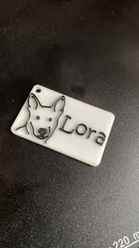 Lora print profile