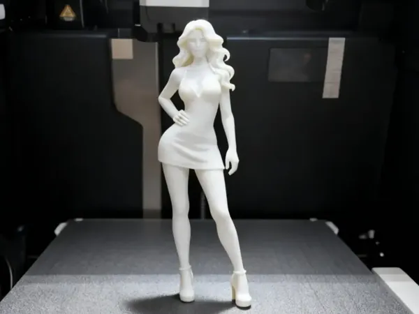 https://makerworld.bblmw.com/makerworld/model/US54b41f6182833f/design/0b9e4fd3930d5782.png