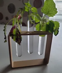 Support pour tubes de bouturage — photo 2