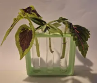Support pour tubes de bouturage — photo 4