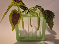 Support pour tubes de bouturage — photo 1