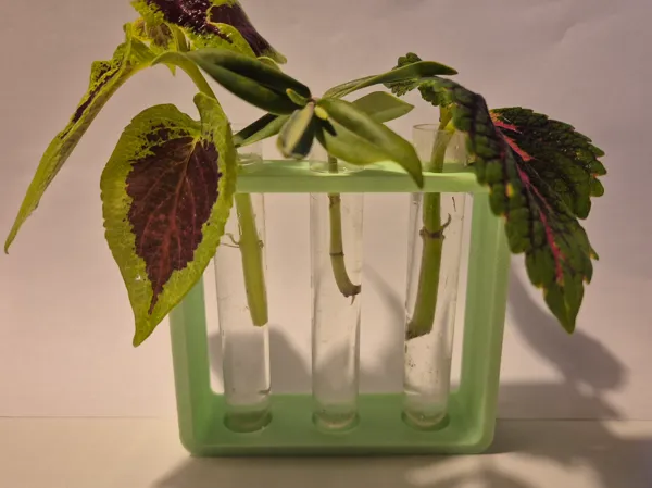 https://makerworld.bblmw.com/makerworld/model/US54b46f81f27ea1/design/2025-08-09_5de42ec95ca88.jpg