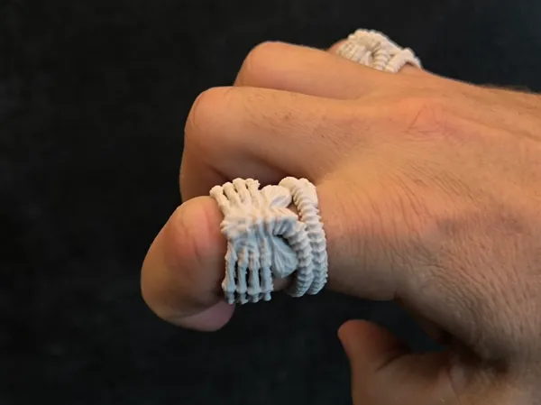 https://makerworld.bblmw.com/makerworld/model/US54b5de58c3a64f/design/2025-09-12_912d3d965cdee8.jpg