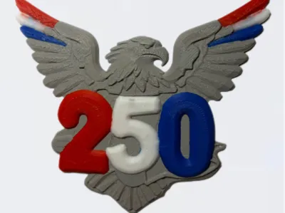 250th Anniversary medallion