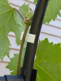 Trellis diameter 19mm, PLA