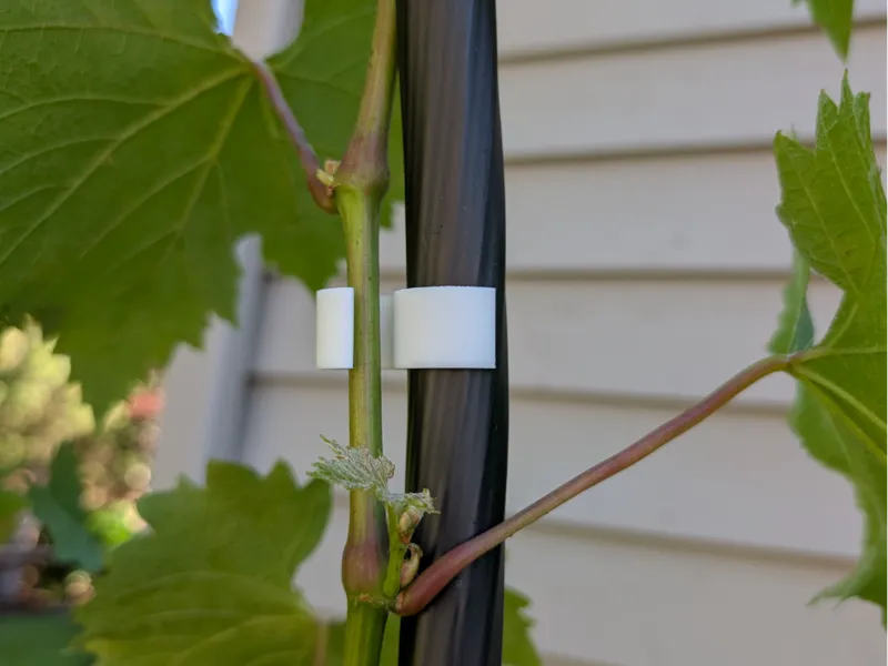 Vine Clip