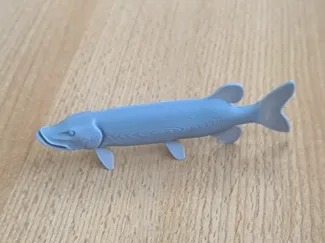 Pike fish model