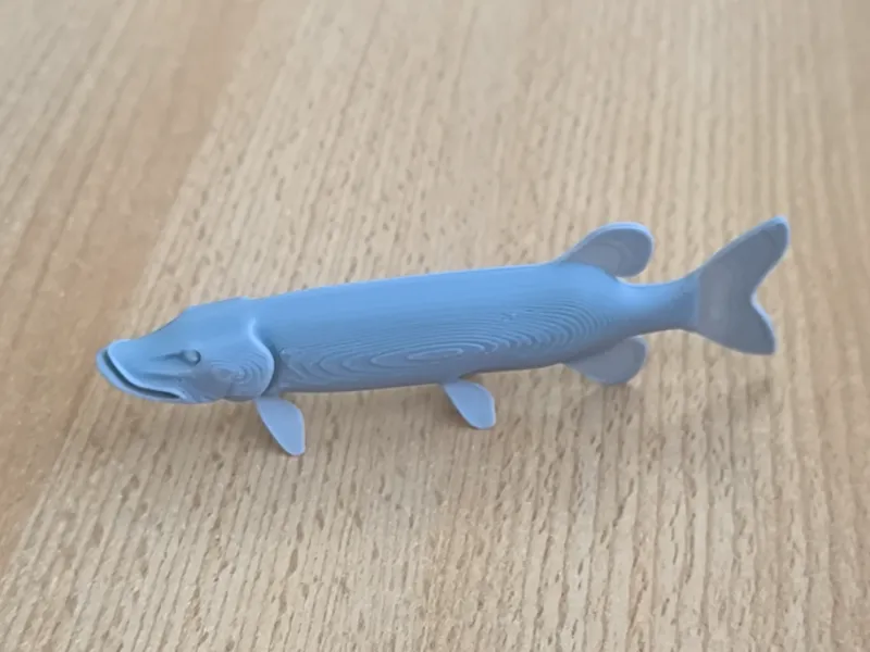 Pike fish model
