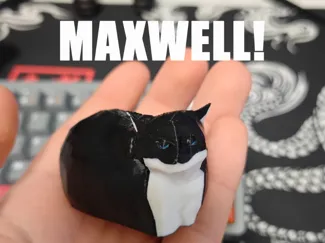 Maxwell