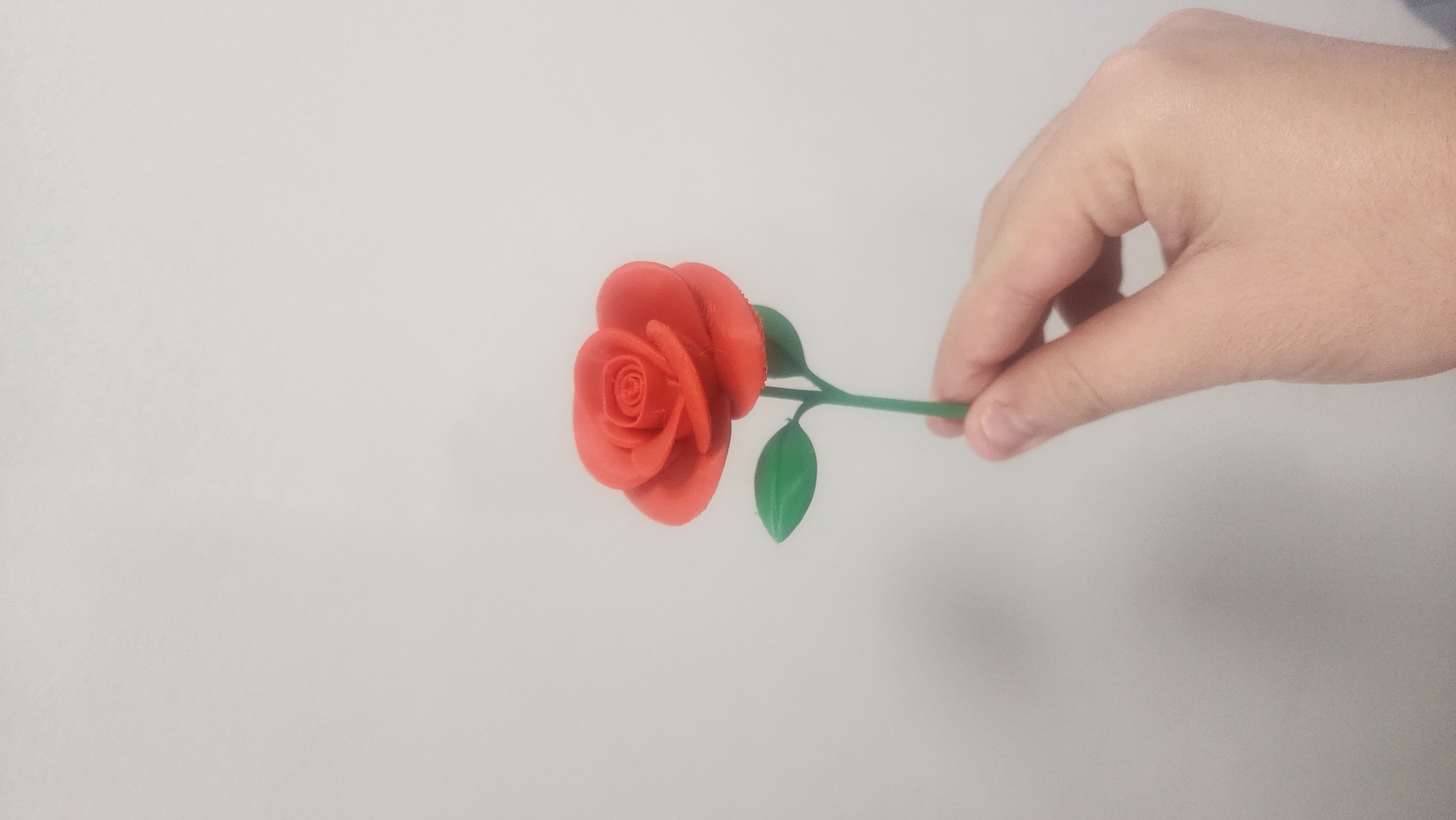 Miniatura 2 do modelo 3D Beautiful rose flower for Valentine's Day